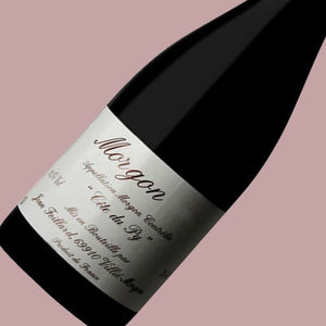 JEAN FOILLARD MORGON CÔTE DU PUY 2022