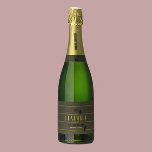 AZUL Y GARANZA FUNAMBUL CAVA BRUT NATURE 2021